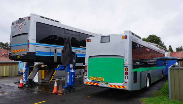 Dions Volvo Volgren CR228L B7RLE MO5344 & B5RLEH TV7664